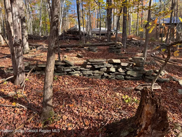 $139,000 | Tbd Cross Patch Road, Willow, NY 12495