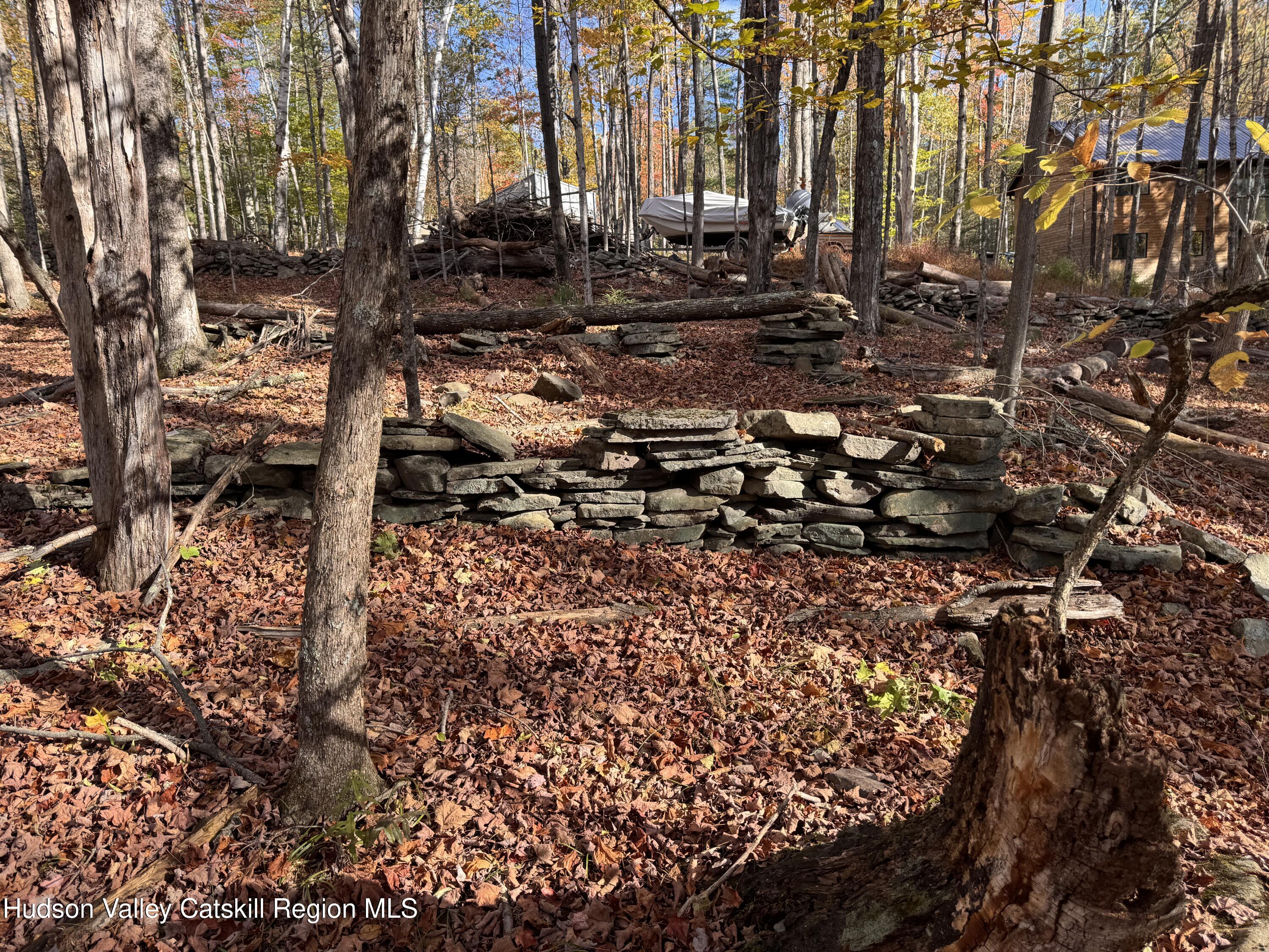 Tbd Cross Patch Road Willow, NY 12495 - Photo 5 of 11 a view of a yard with trees