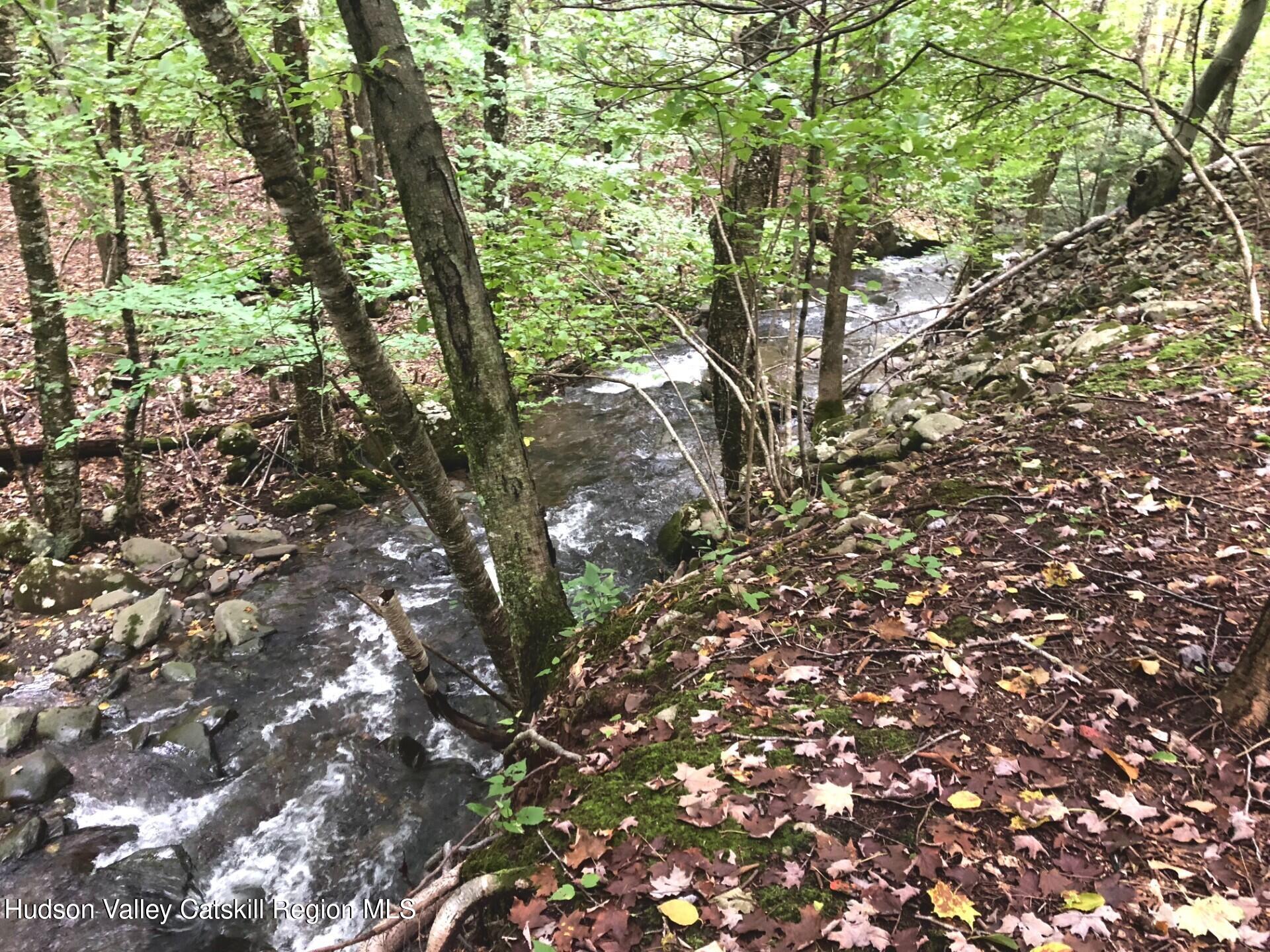 Tbd Cross Patch Road Willow, NY 12495 - Photo 6 of 11