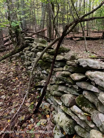 $139,000 | Tbd Cross Patch Road, Willow, NY 12495