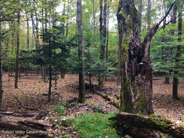 $139,000 | Tbd Cross Patch Road, Willow, NY 12495