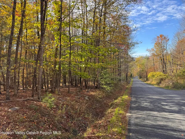 $139,000 | Tbd Cross Patch Road, Willow, NY 12495