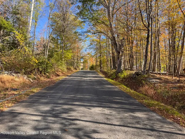 $139,000 | Tbd Cross Patch Road, Willow, NY 12495