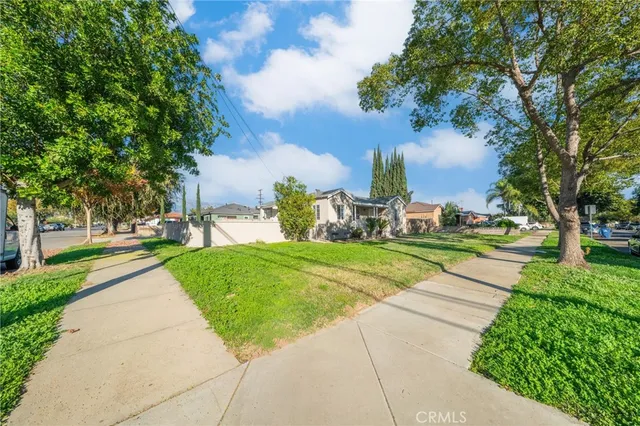 a view of a park with large trees