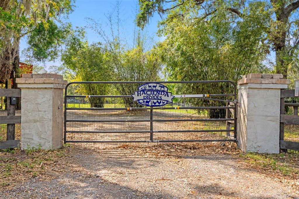 4508 Spring Road Valrico, FL 33596 - Photo 3 of 53