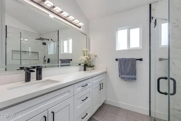 a bathroom with a sink a potted plant and a mirror