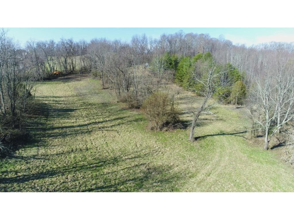 1120 Paperville Road Bristol, TN 37620 - Photo 11 of 15 Photo 11