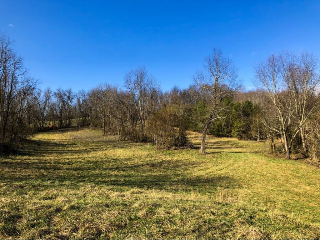 1120 Paperville Road Bristol, TN 37620 - Photo 2 of 15 Photo 2
