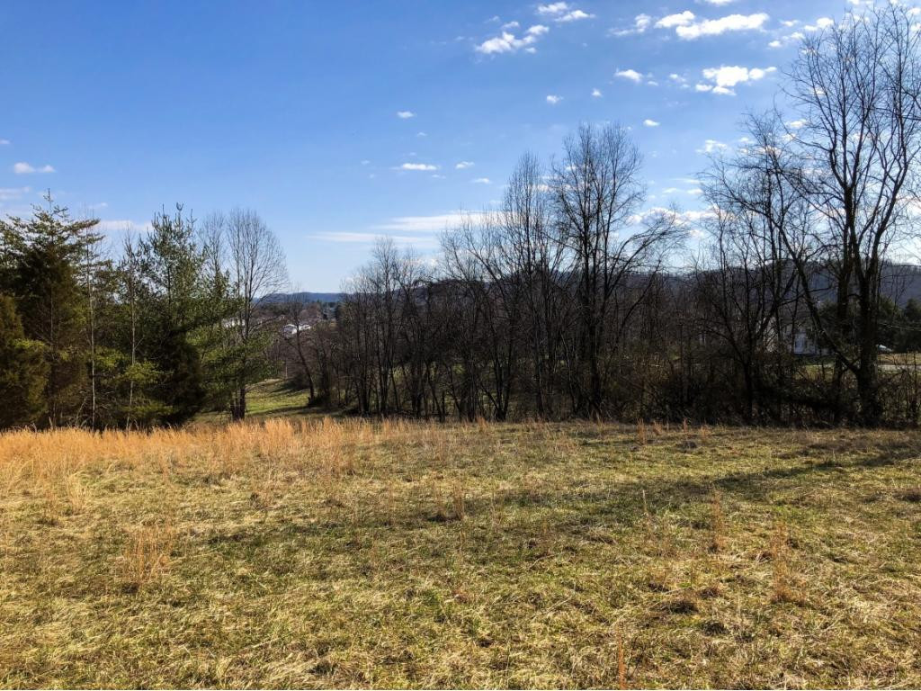 1120 Paperville Road Bristol, TN 37620 - Photo 3 of 15 Photo 3