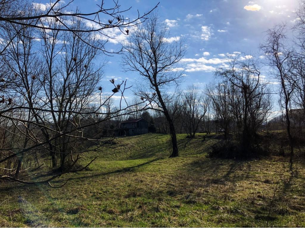 1120 Paperville Road Bristol, TN 37620 - Photo 5 of 15 Photo 5