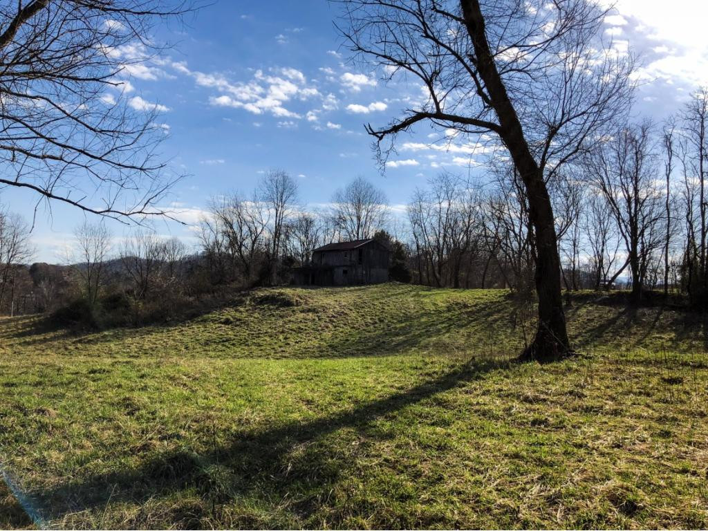 1120 Paperville Road Bristol, TN 37620 - Photo 6 of 15 Photo 6