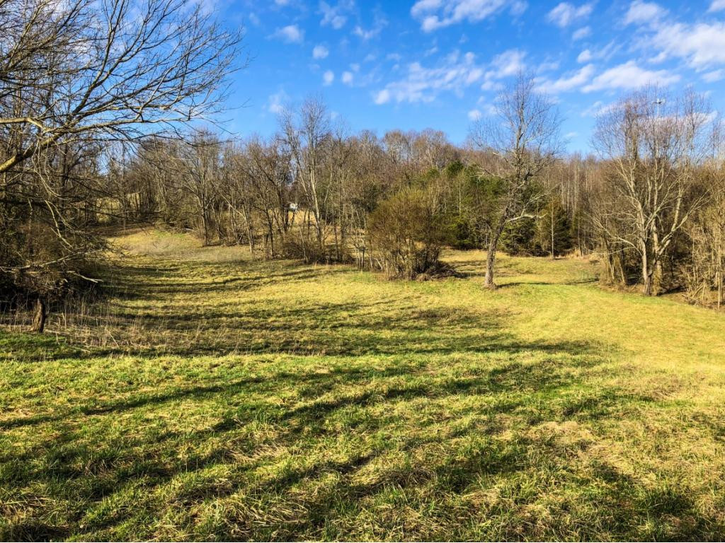 1120 Paperville Road Bristol, TN 37620 - Photo 7 of 15 Photo 7