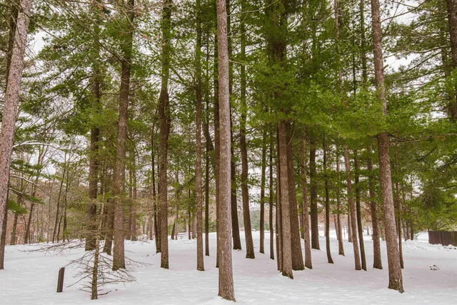 $129,500 | 5 Spruce Trail, Wisconsin Dells, WI 53965