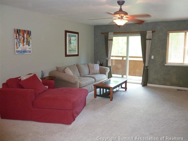 201 Ryan Gulch Road, Unit A Wildernest, CO 80498 - Photo 2 of 17 Gallery Image 2