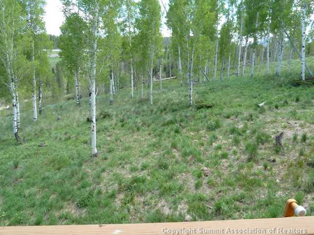 201 Ryan Gulch Road, Unit A Wildernest, CO 80498 - Photo 16 of 17 Gallery Image 16