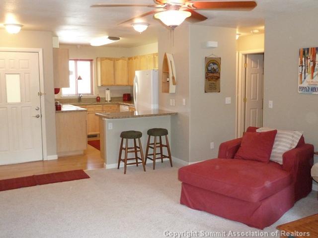 201 Ryan Gulch Road, Unit A Wildernest, CO 80498 - Photo 3 of 17 Gallery Image 3