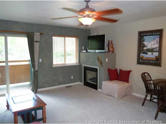 201 Ryan Gulch Road, Unit A Wildernest, CO 80498 - Photo 4 of 17 Gallery Image 4