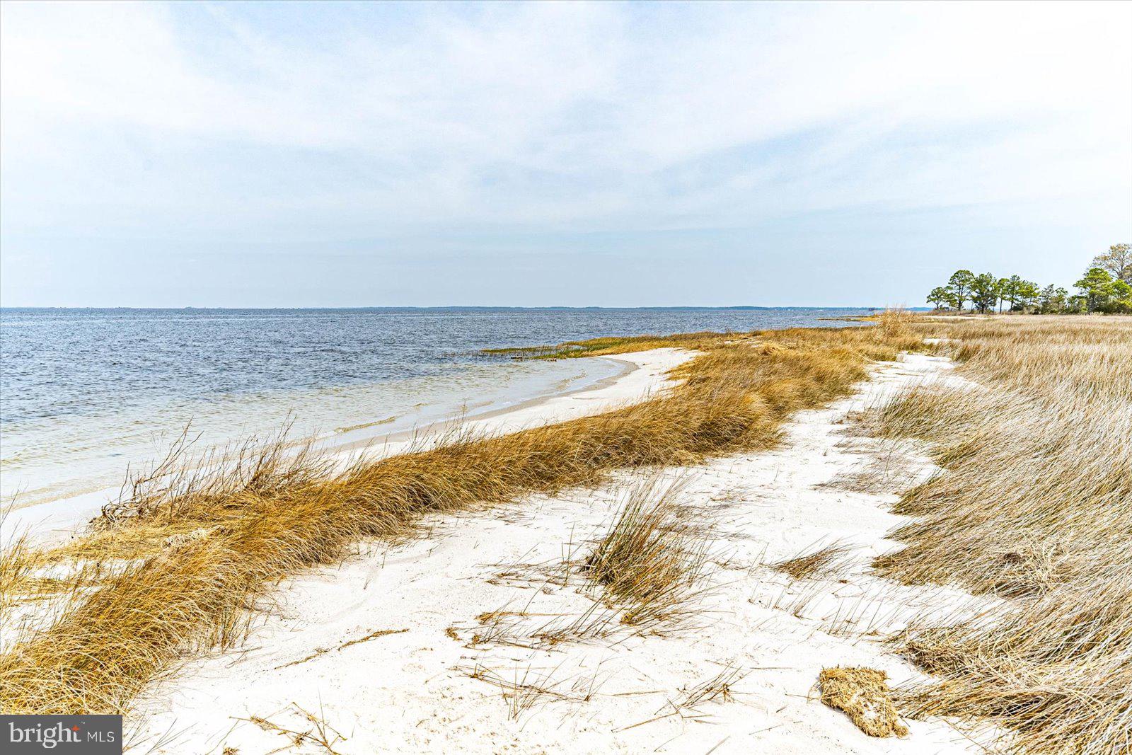 8078 Riverview Road Westover, MD 21871 - Photo 117 of 150