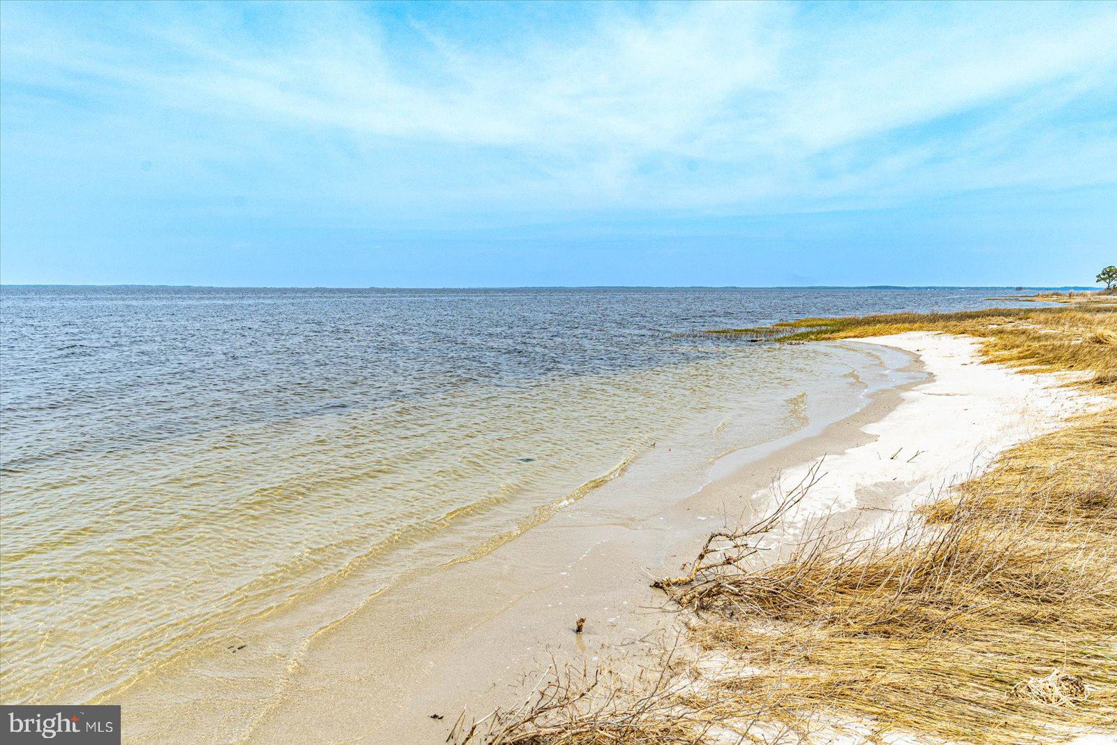 8078 Riverview Road Westover, MD 21871 - Photo 121 of 150