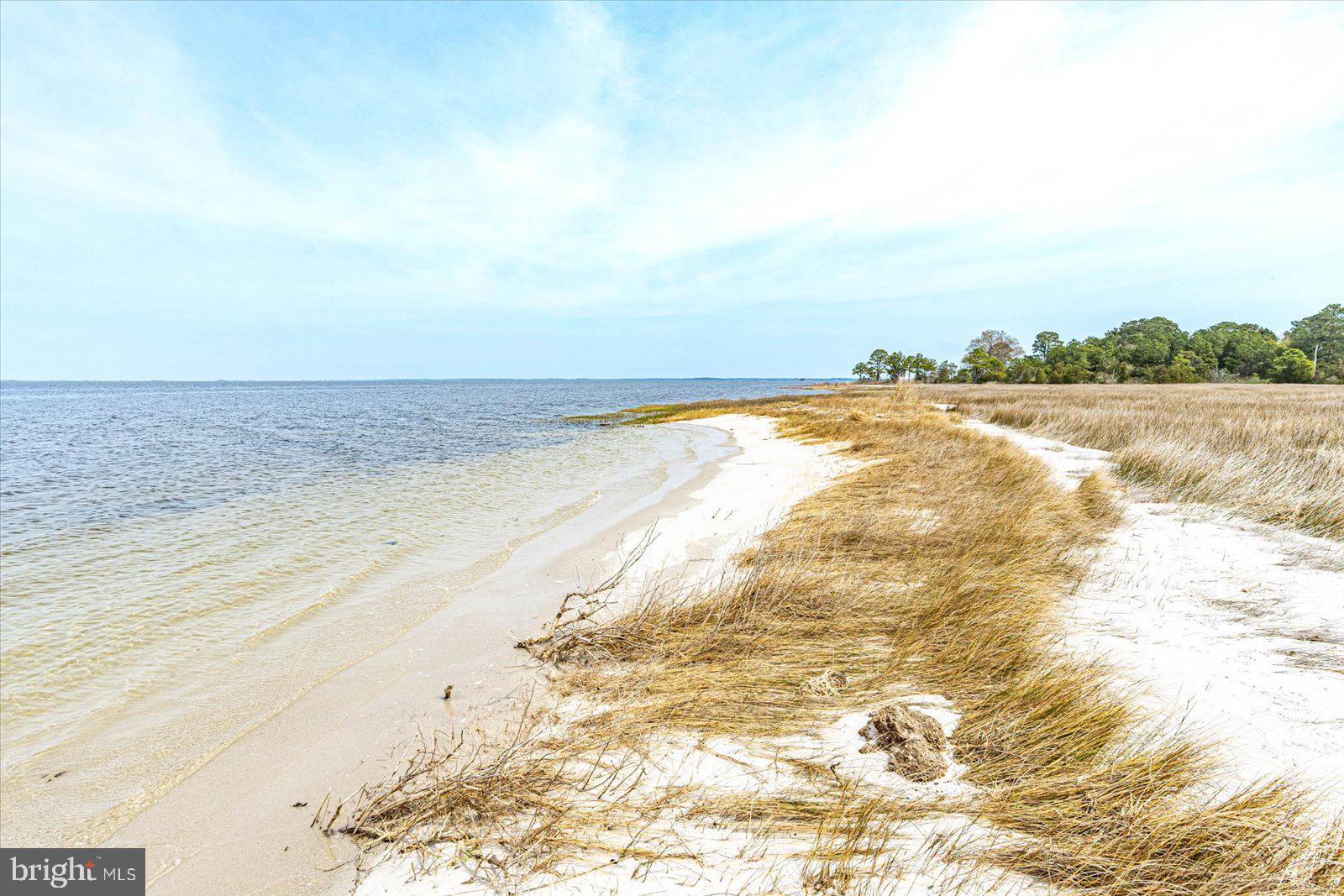 8078 Riverview Road Westover, MD 21871 - Photo 125 of 150