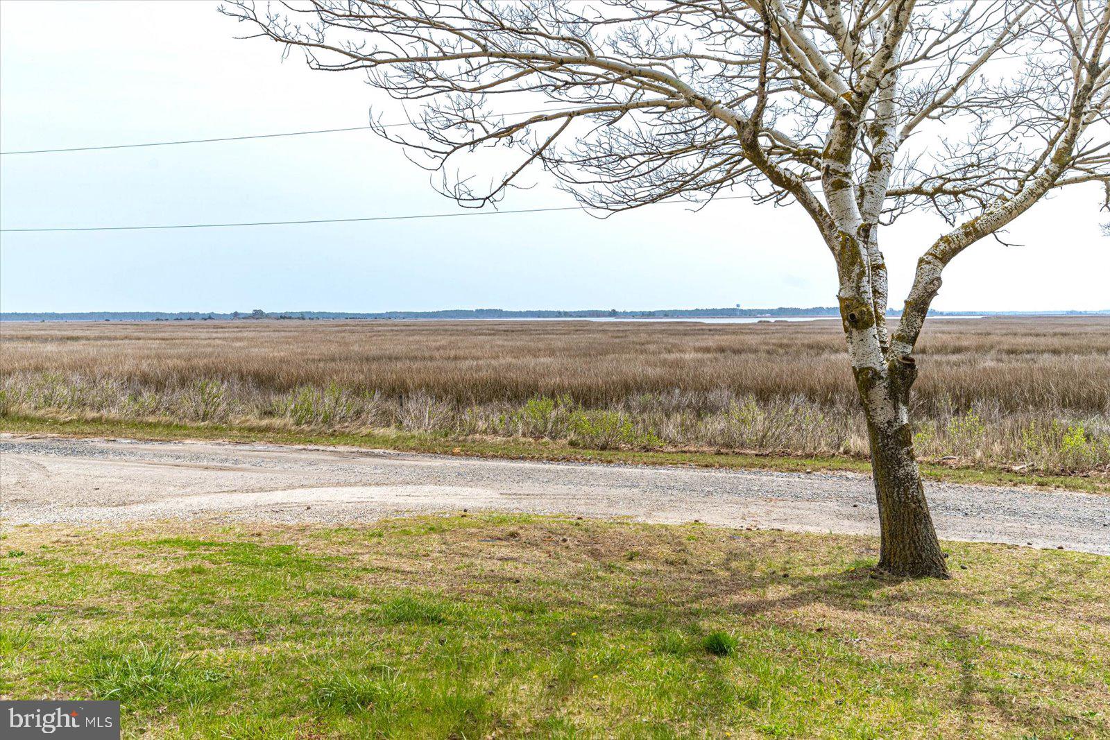 8078 Riverview Road Westover, MD 21871 - Photo 138 of 150