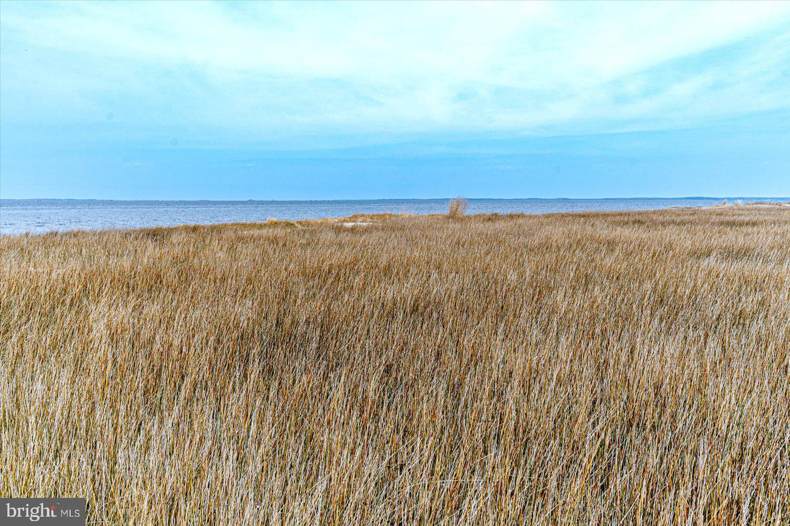 8078 Riverview Road Westover, MD 21871 - Photo 146 of 150