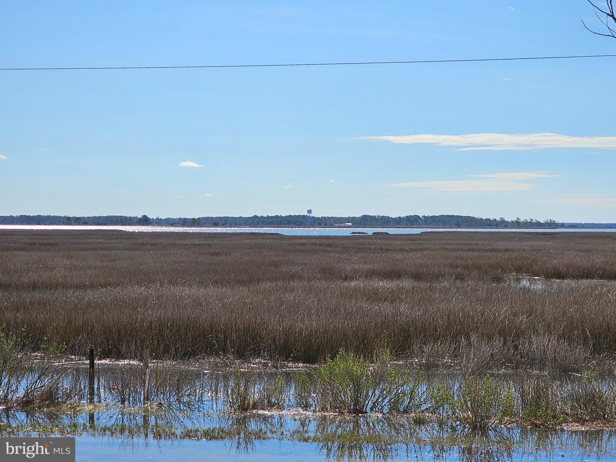 8078 Riverview Road Westover, MD 21871 - Photo 53 of 150