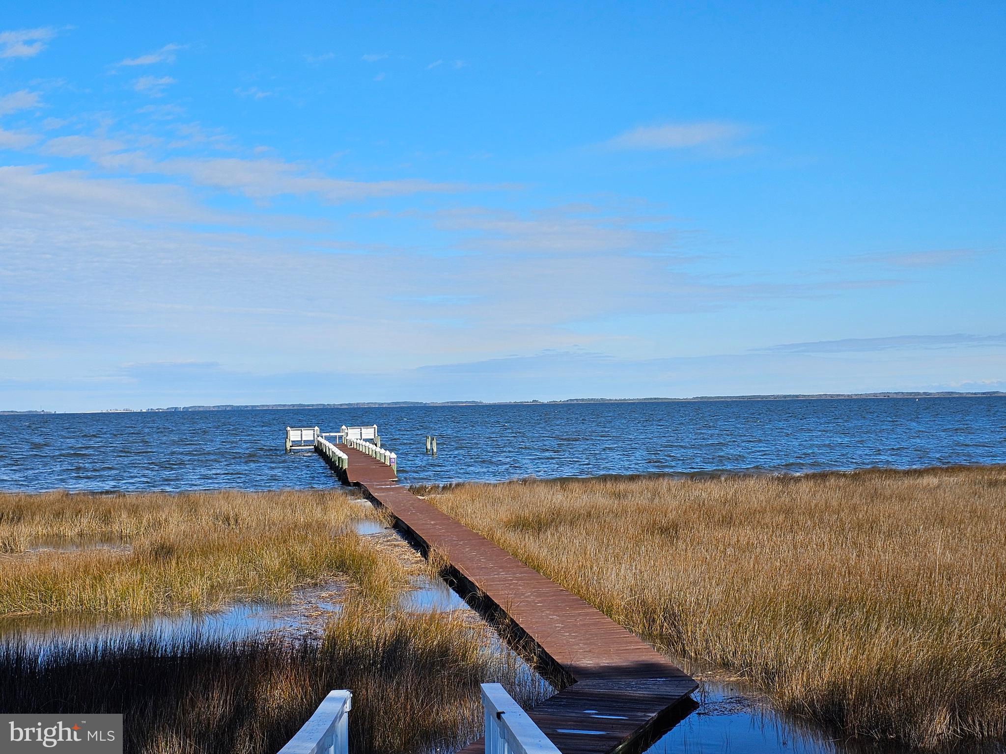 8078 Riverview Road Westover, MD 21871 - Photo 10 of 150