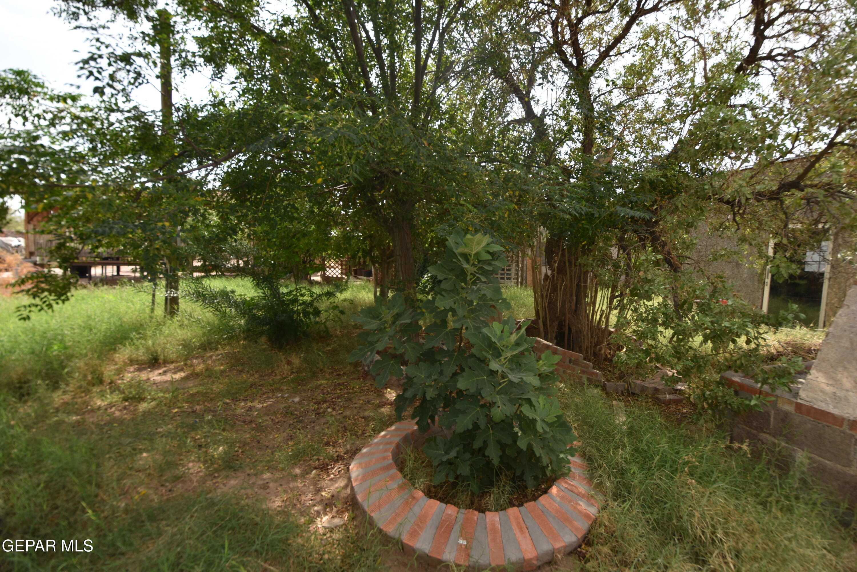 8141 Kiely Road Vinton, TX 79821 - Photo 10 of 26 DSC_0088