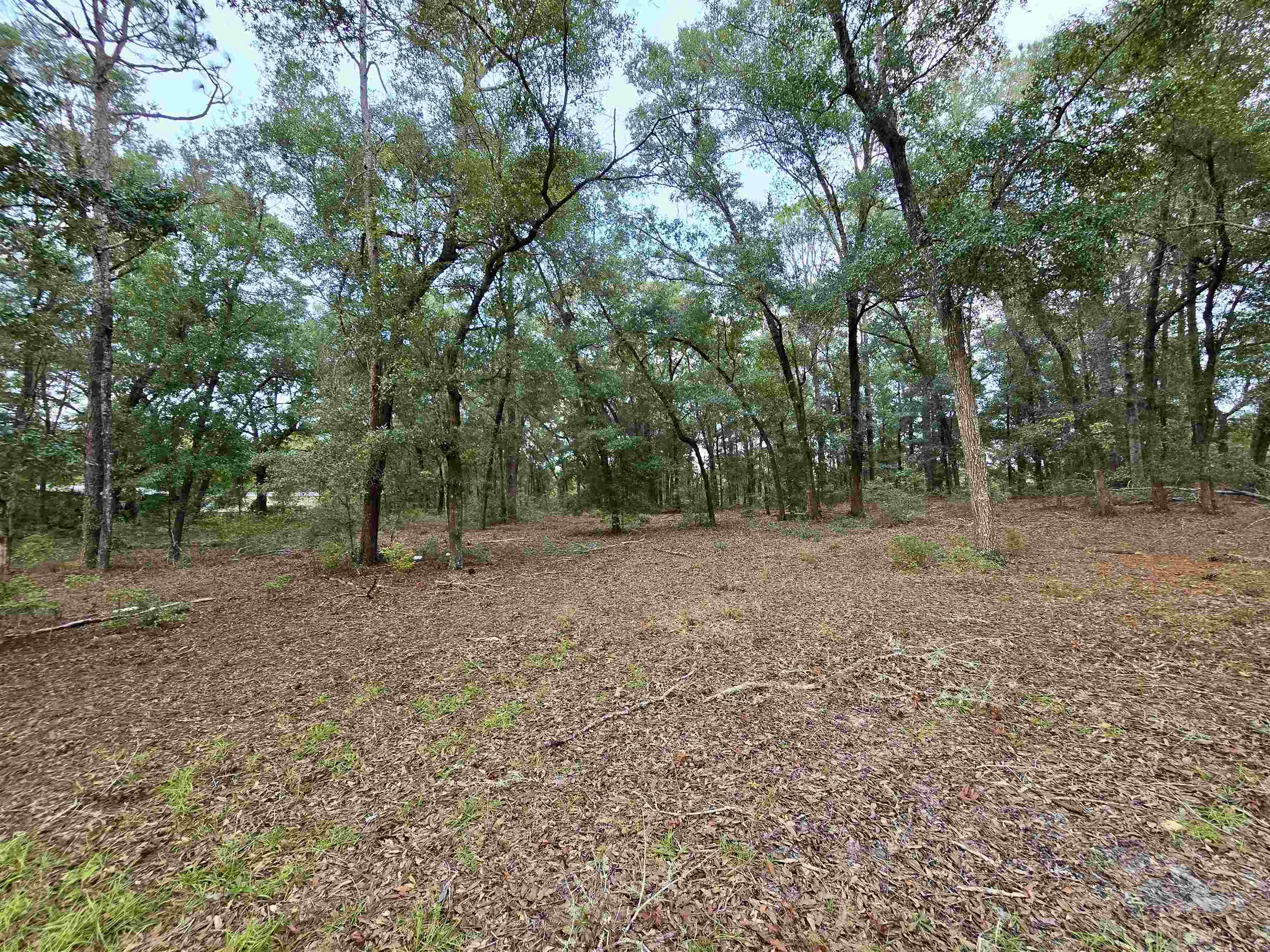 300 Ross Road Tallahassee, FL 32305 - Photo 16 of 31