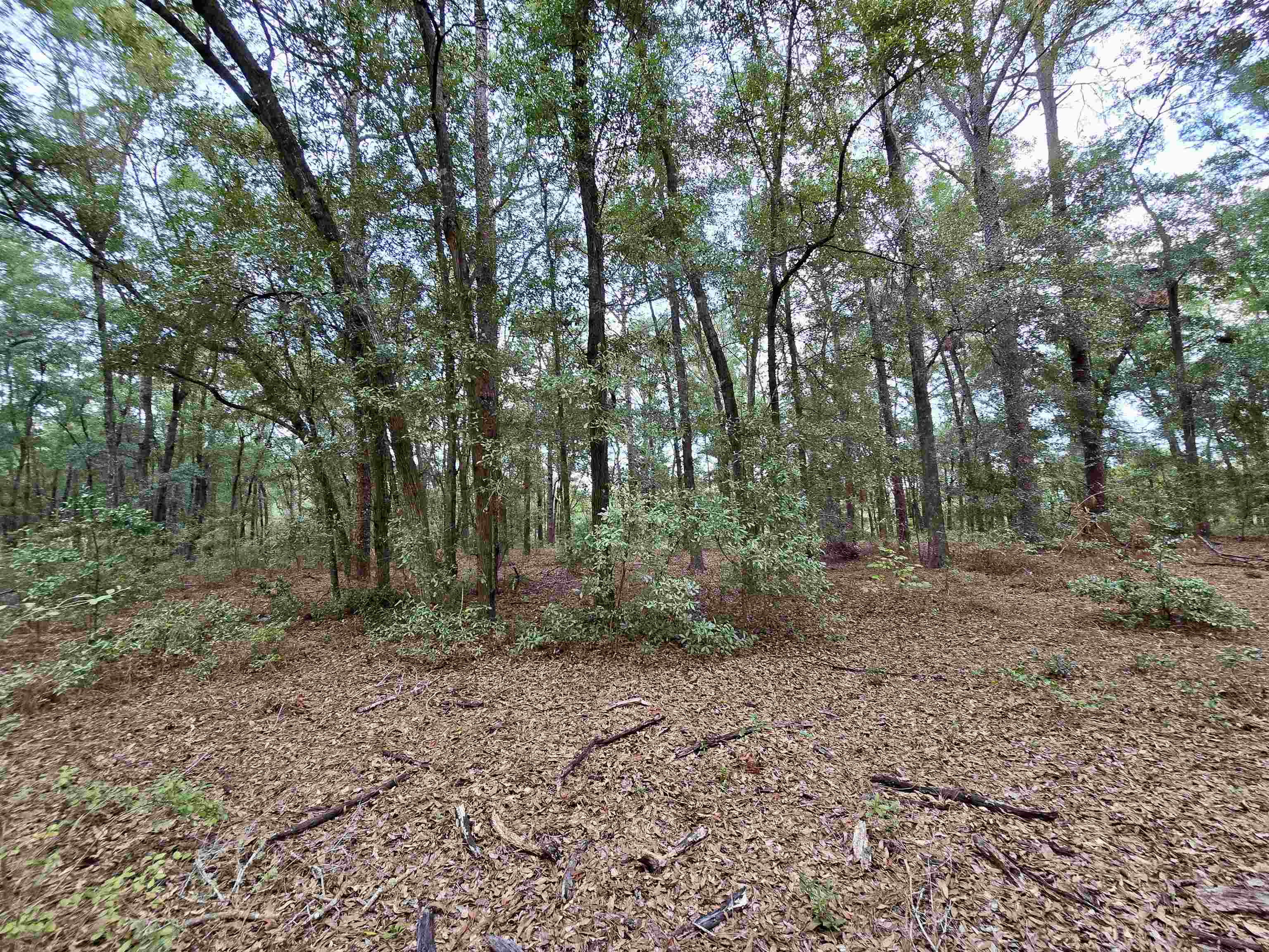 300 Ross Road Tallahassee, FL 32305 - Photo 17 of 31