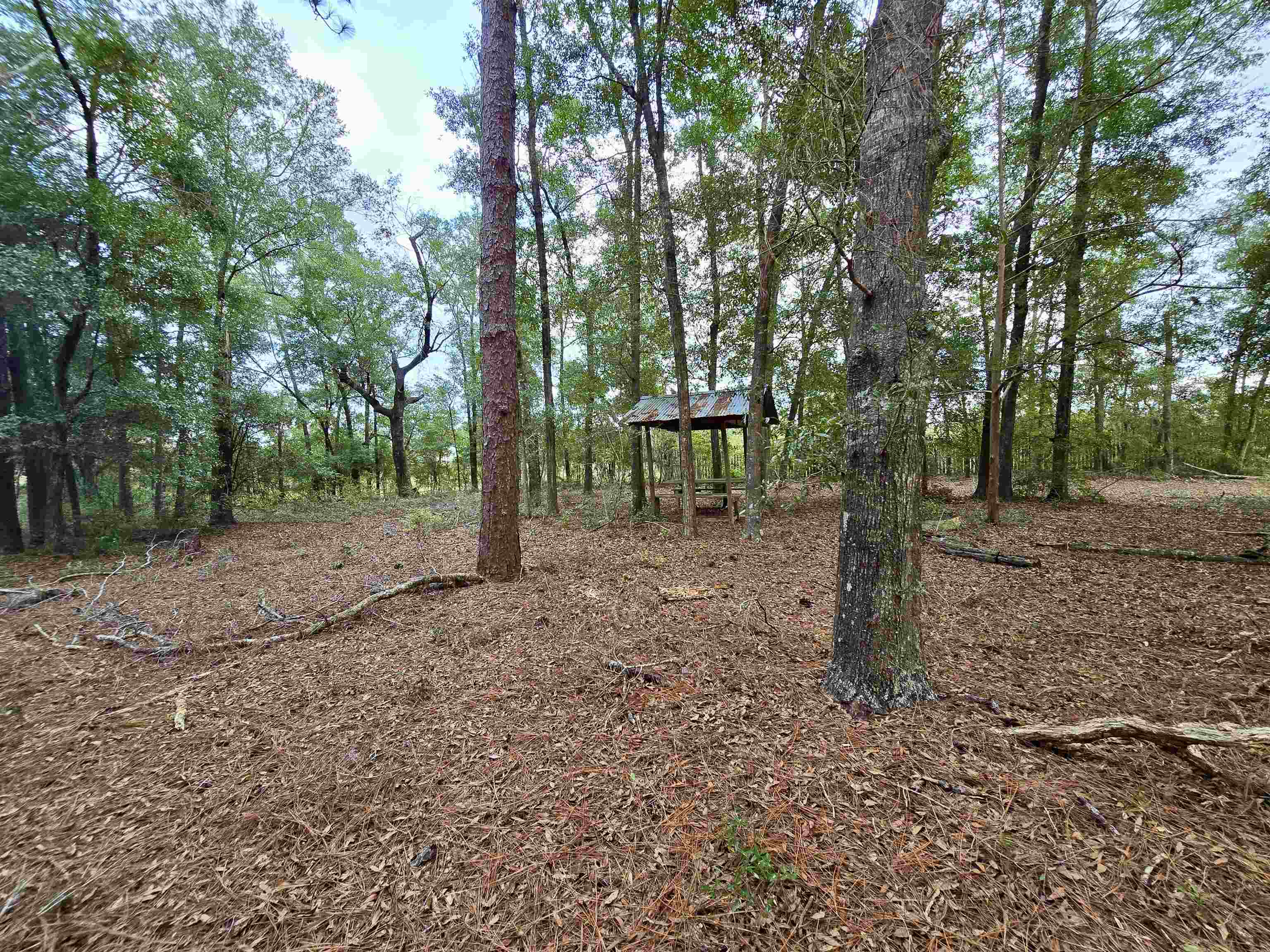 300 Ross Road Tallahassee, FL 32305 - Photo 19 of 31