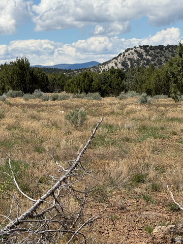 15 Old Highway 89, Unit 15 Spring City, UT 84662 - Photo 4 of 9