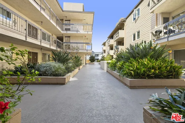 a view of a garden with potted plants