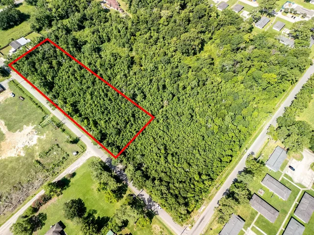 a view of a plant in a garden