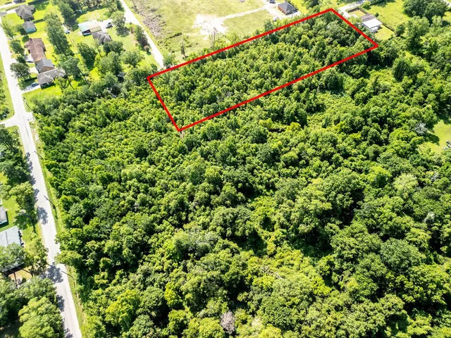 a view of a yard with plants and trees
