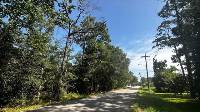 a bunch of flowers in a garden