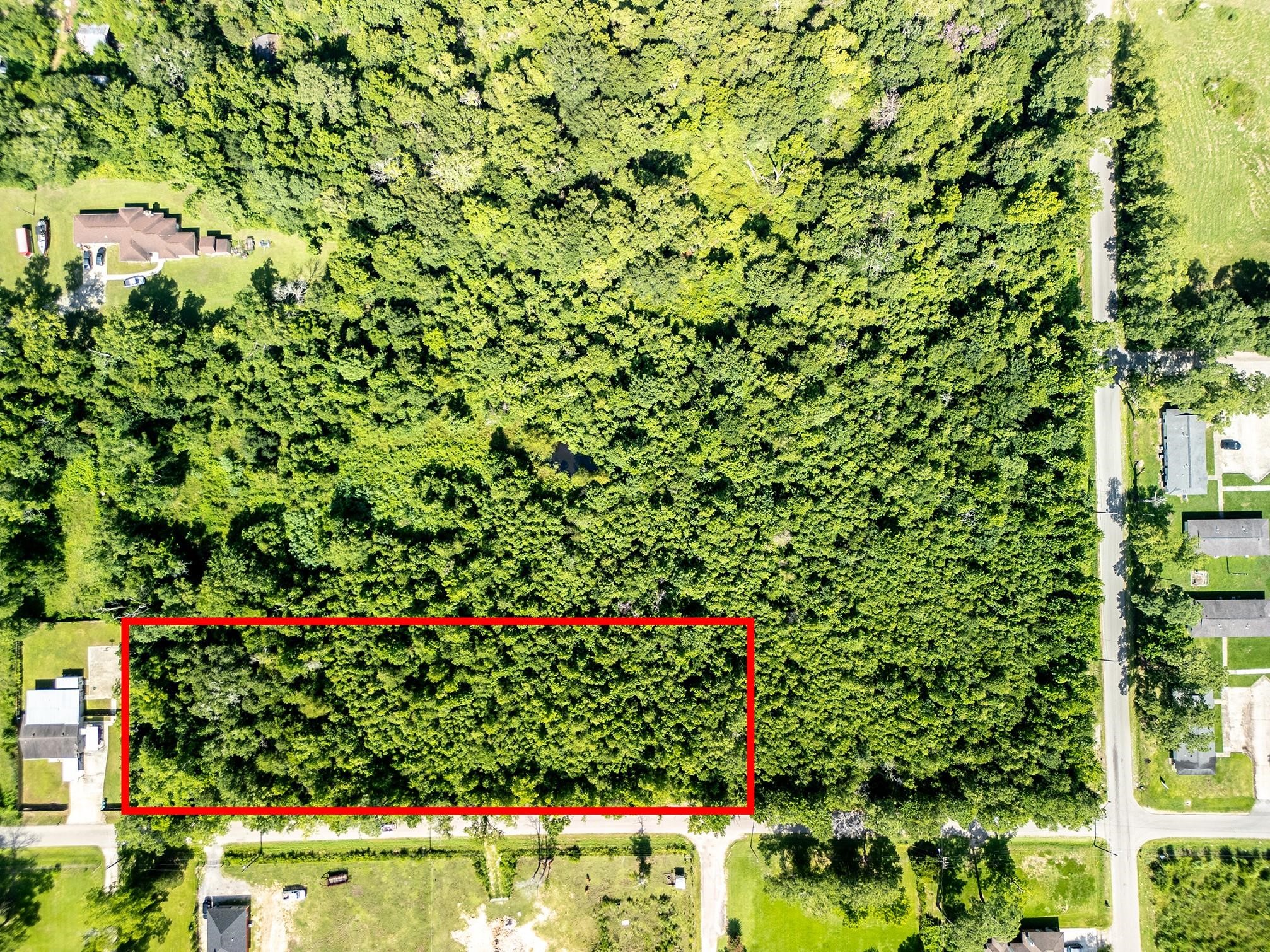 20 B Barrett Road Beaumont, TX 77708 - Photo 9 of 9 a bunch of flowers in a garden