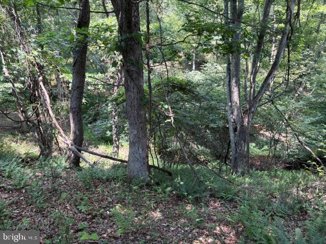 Lot 24-a Ac Fox Run Baker, WV 26801 - Photo 13 of 34