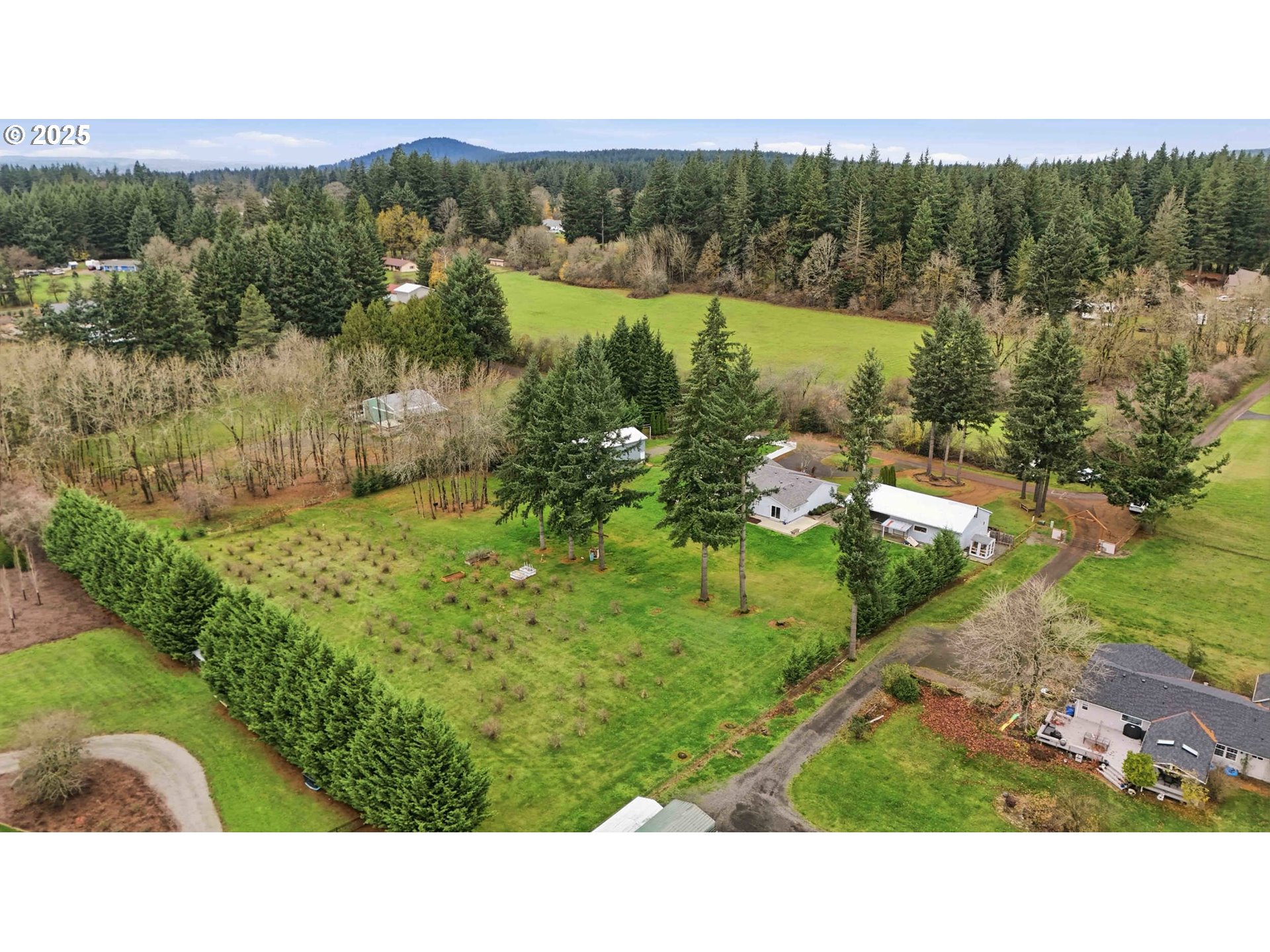 25511 Northeast 13th Street Camas, WA 98607 - Photo 27 of 36 a view of lake with green space