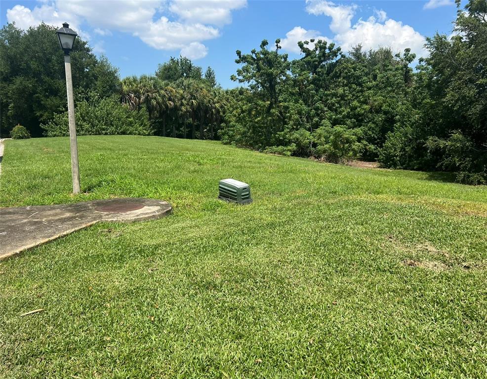1661 Roberts Landing Road Windermere, FL 34786 - Photo 11 of 20 a view of a field with a tree