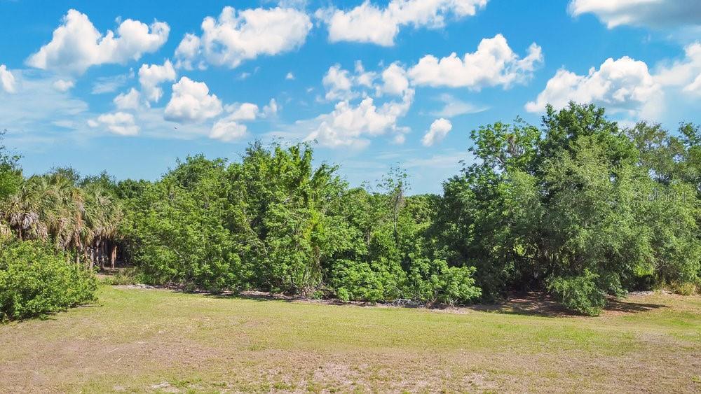 1661 Roberts Landing Road Windermere, FL 34786 - Photo 14 of 20 a view of a lake