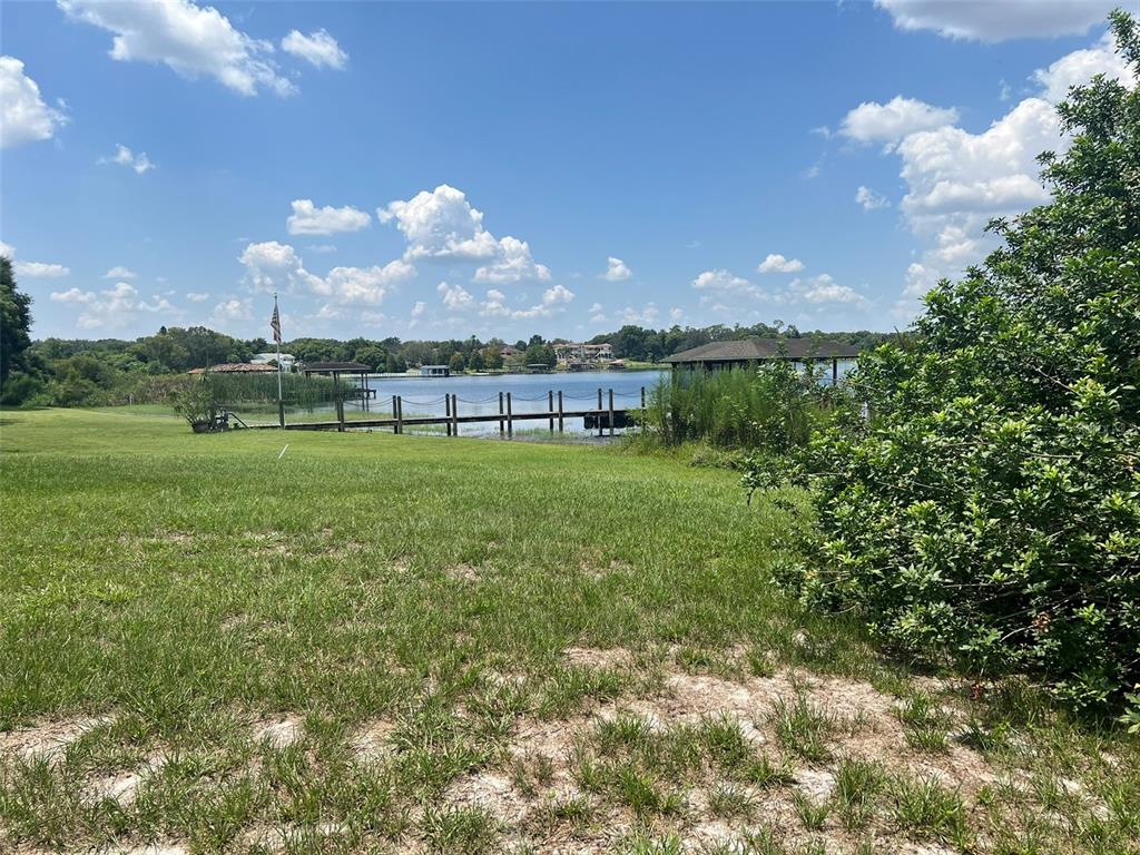 1661 Roberts Landing Road Windermere, FL 34786 - Photo 15 of 20 a view of a city with large trees and a big yard