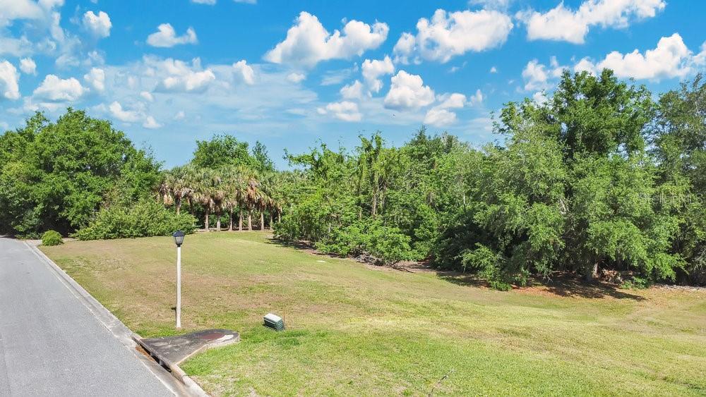 1661 Roberts Landing Road Windermere, FL 34786 - Photo 16 of 20 a backyard of a house