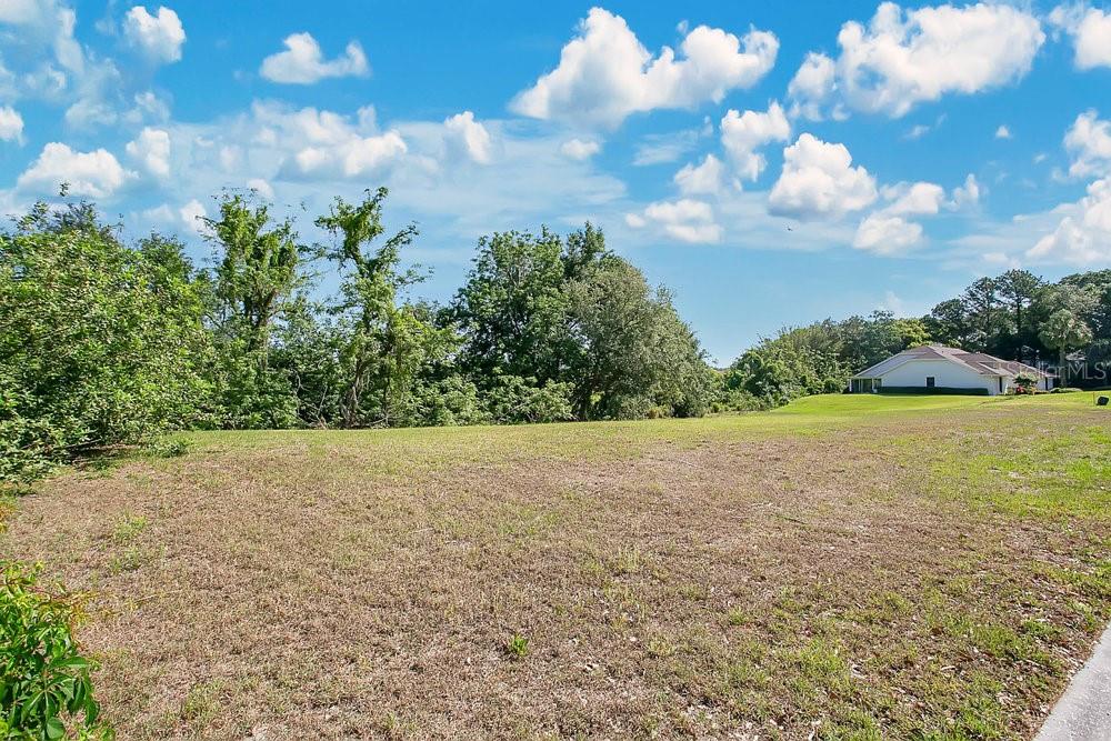 1661 Roberts Landing Road Windermere, FL 34786 - Photo 18 of 20 a view of a field with an trees in the background