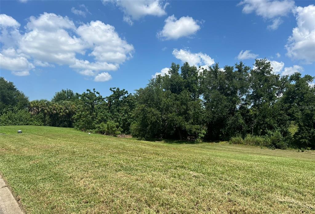 1661 Roberts Landing Road Windermere, FL 34786 - Photo 10 of 20 a view of basketball court