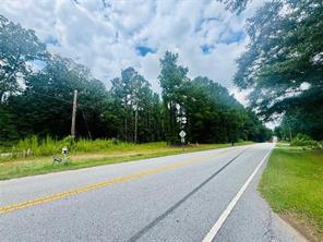 0 Old Douglas Mill Road Abbeville, SC 29620 - Photo 2 of 5 This expansive lot offers a tranquil setting with ample space for custom development.
