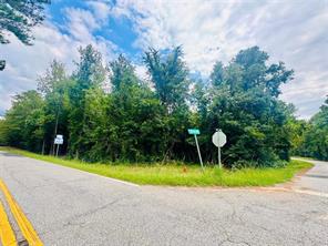 0 Old Douglas Mill Road Abbeville, SC 29620 - Photo 3 of 5 This verdant corner lot offers ample space for a future home.