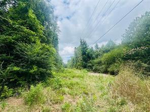 0 Old Douglas Mill Road Abbeville, SC 29620 - Photo 4 of 5 This verdant lot offers abundant natural beauty and expansive potential.