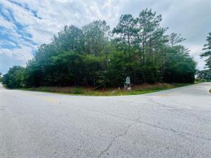 0 Old Douglas Mill Road Abbeville, SC 29620 - Photo 5 of 5 This expansive lot features mature trees, perfect for building a custom home.